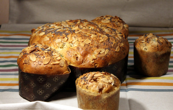 Colomba salata - Ricette Passo Passo con foto